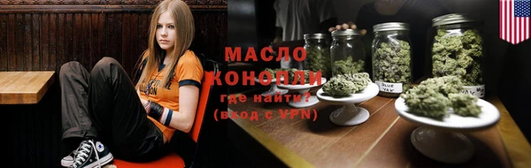 индика Армянск