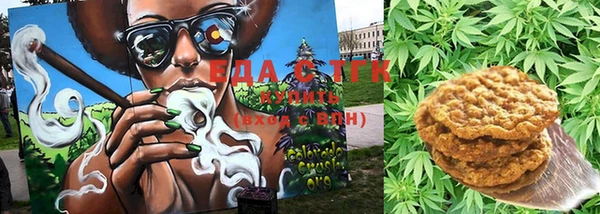индика Армянск