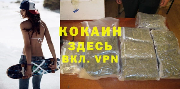 индика Армянск