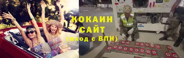 индика Армянск