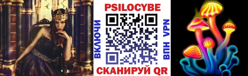 omg сайт купить наркоту Уржум Галлюциногенные грибы Psilocybe